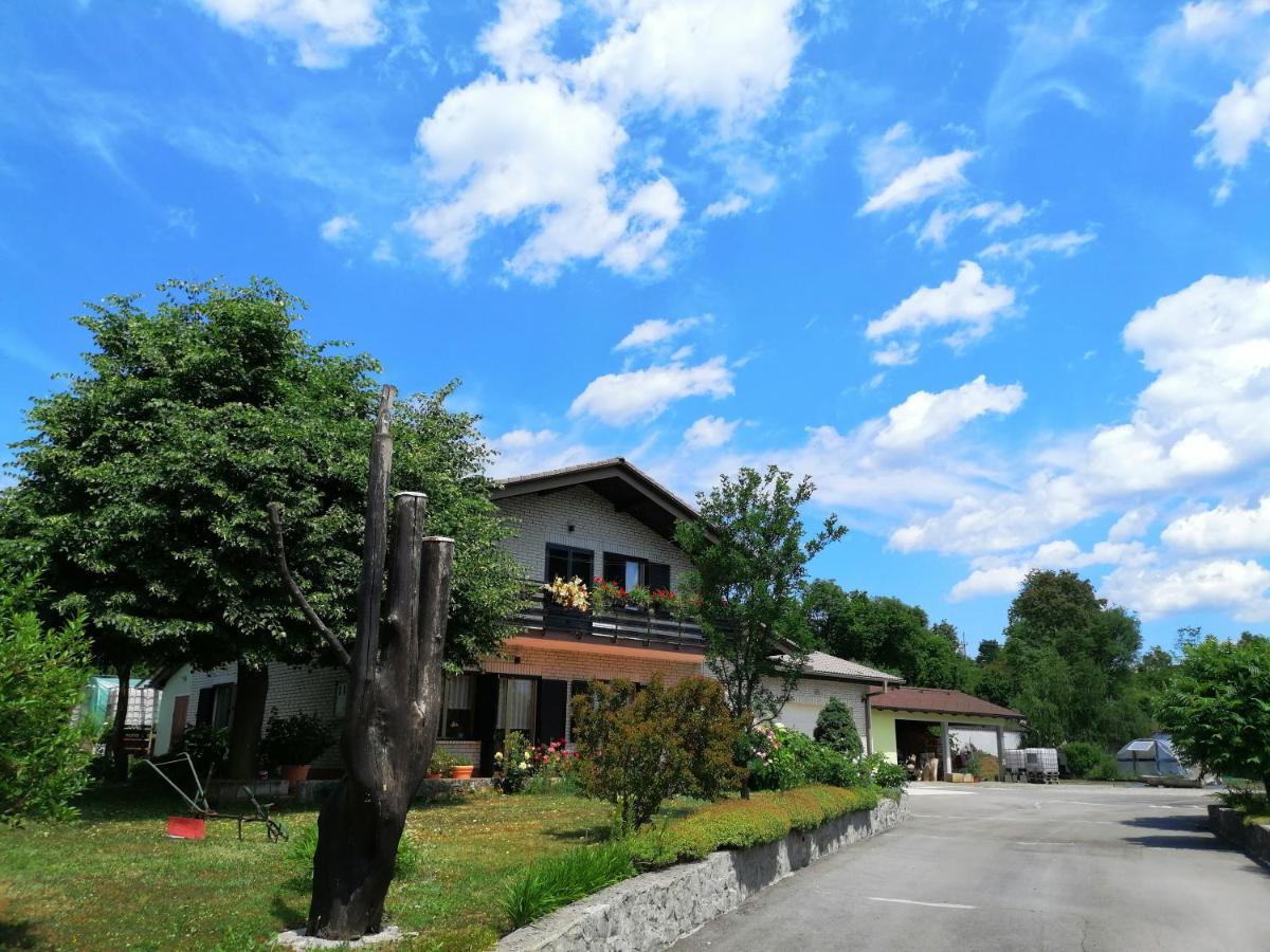 Deno Appartement Podgrad (Notranjska)